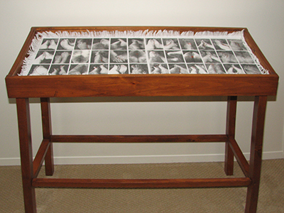 Jocelyne Thibault_Cabinet de curiosité